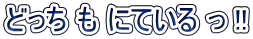 どっち も にている っ !!