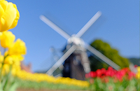 ���j�C���[�W