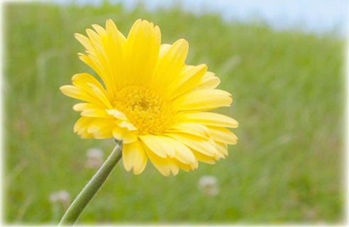 ���j�C���[�W